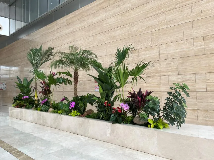 宁波花卉出租哪家好